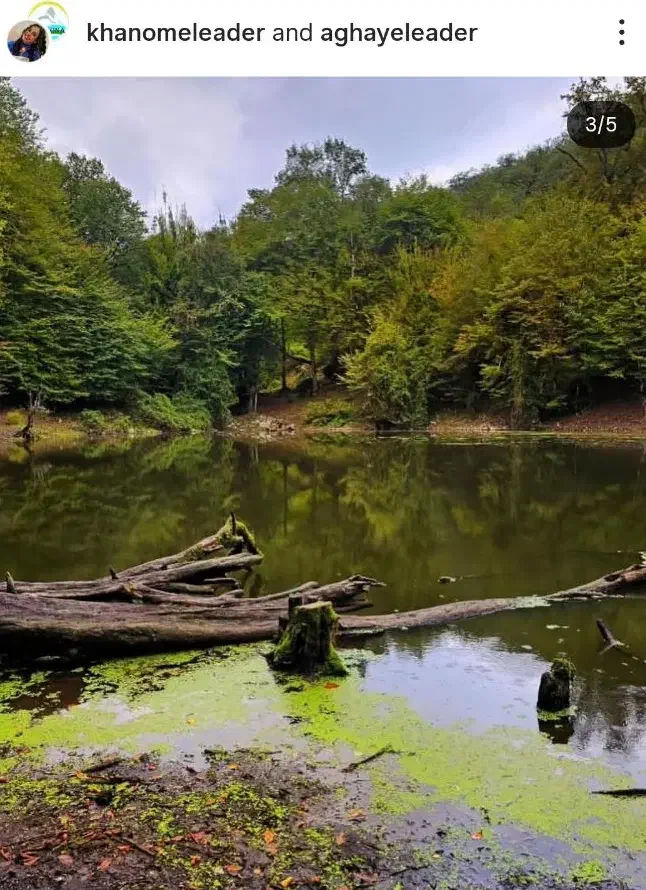 تور مرداب وربن تا هسل|تور و چارتر|تهران, آرژانتین|دیوار