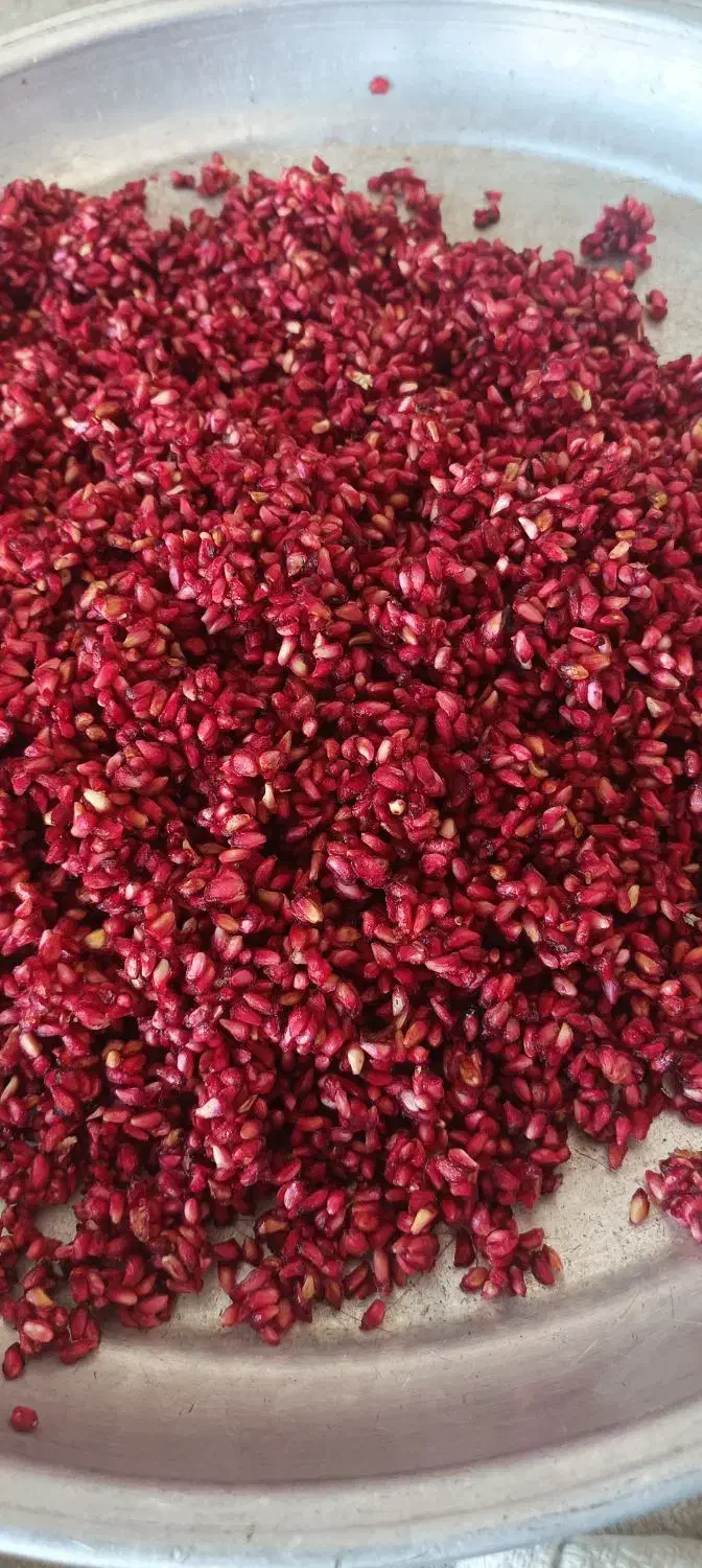 محصولات خانگی|خوردنی و آشامیدنی|جویبار, |دیوار