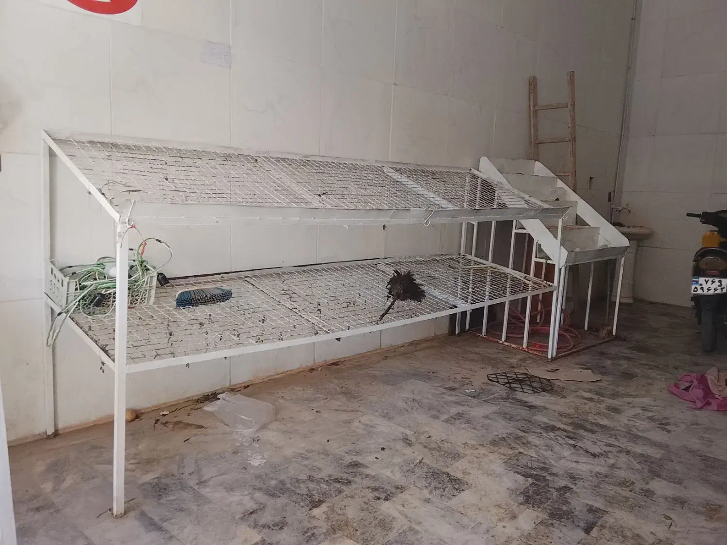 میز میوه فروشی|فروشگاه و مغازه|تربت‌حیدریه, پائین ولایت|دیوار