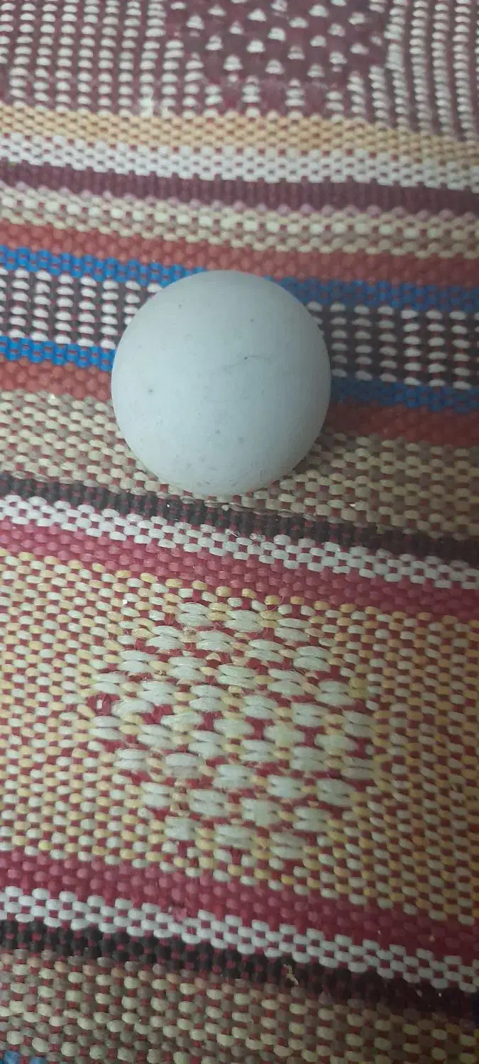 سنگ آسیاب|کلکسیون اشیاء عتیقه|مشهد, رده|دیوار