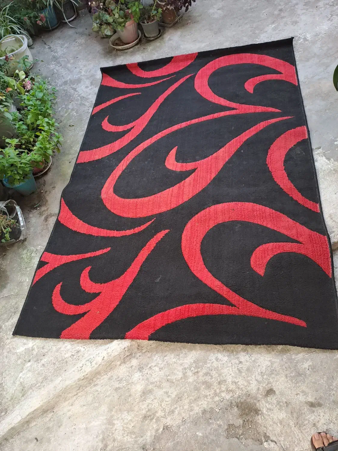 فرش چهار متری فانتزی|فرش|رشت, دیلمان|دیوار