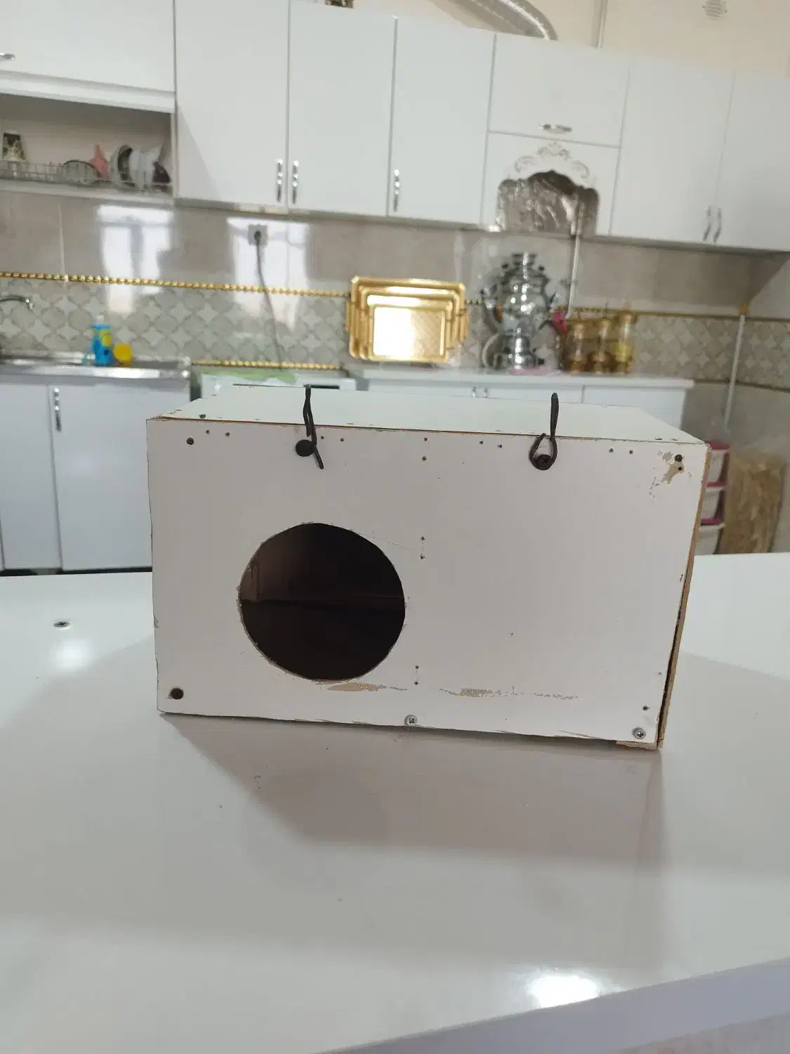 لانه عروس هلندی وطوطی دست ساز|لوازم جانبی حیوانات|لاجان, |دیوار