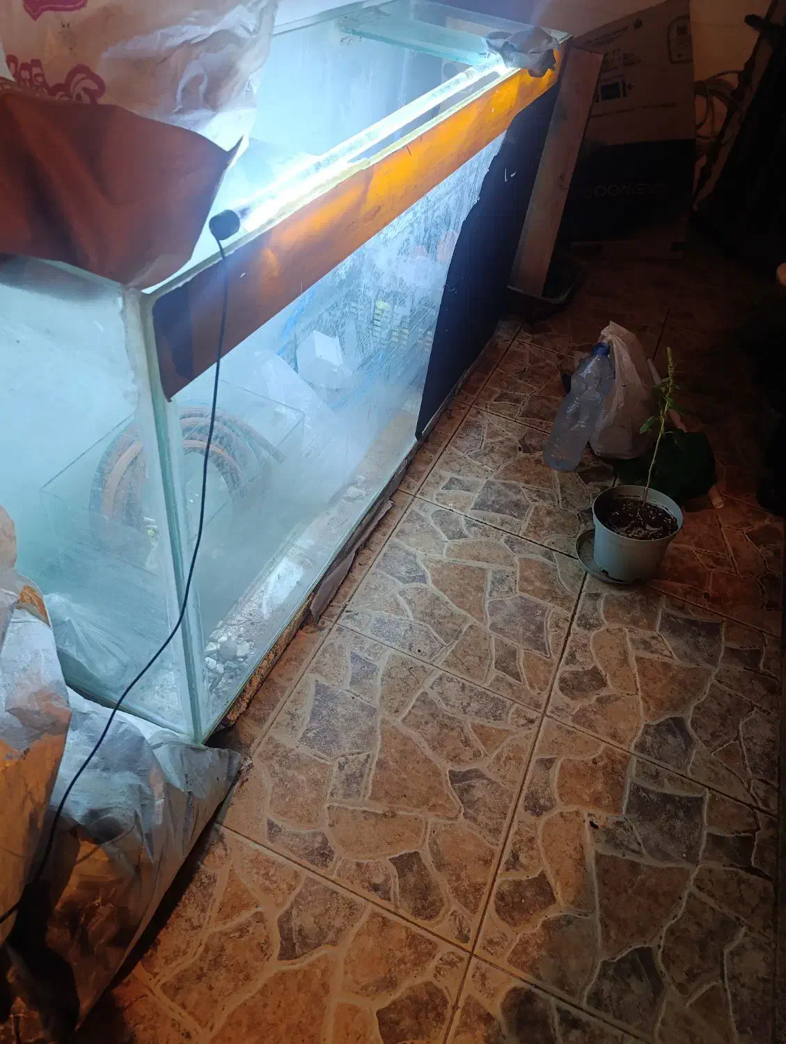 اکواریوم150*70*40|ماهی|چالوس, |دیوار