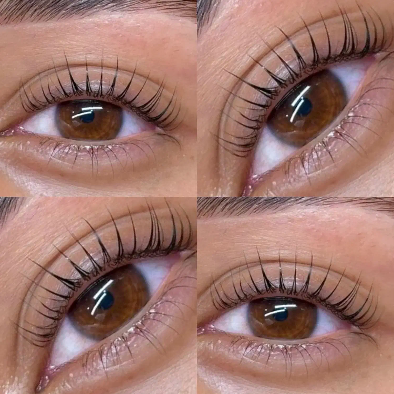 اکستنشن و لیفت مژه و ابرو|خدمات آرایشگری و زیبایی|سنندج, |دیوار