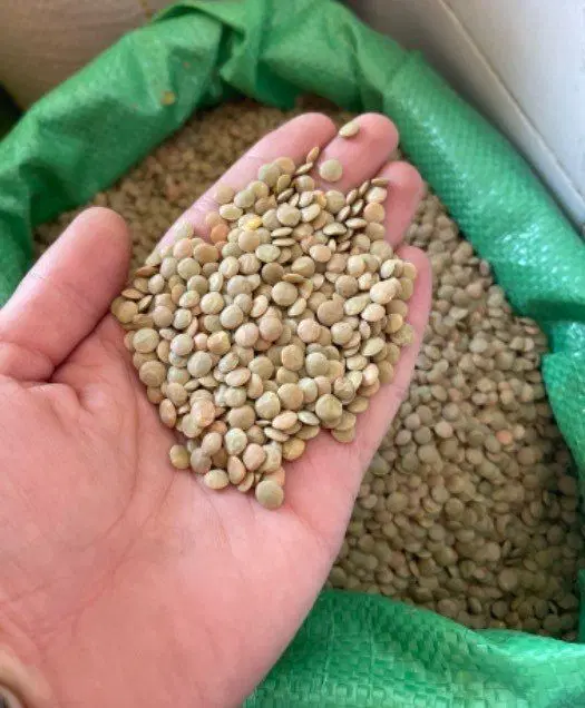 ترشی|خوردنی و آشامیدنی|آبیک, |دیوار