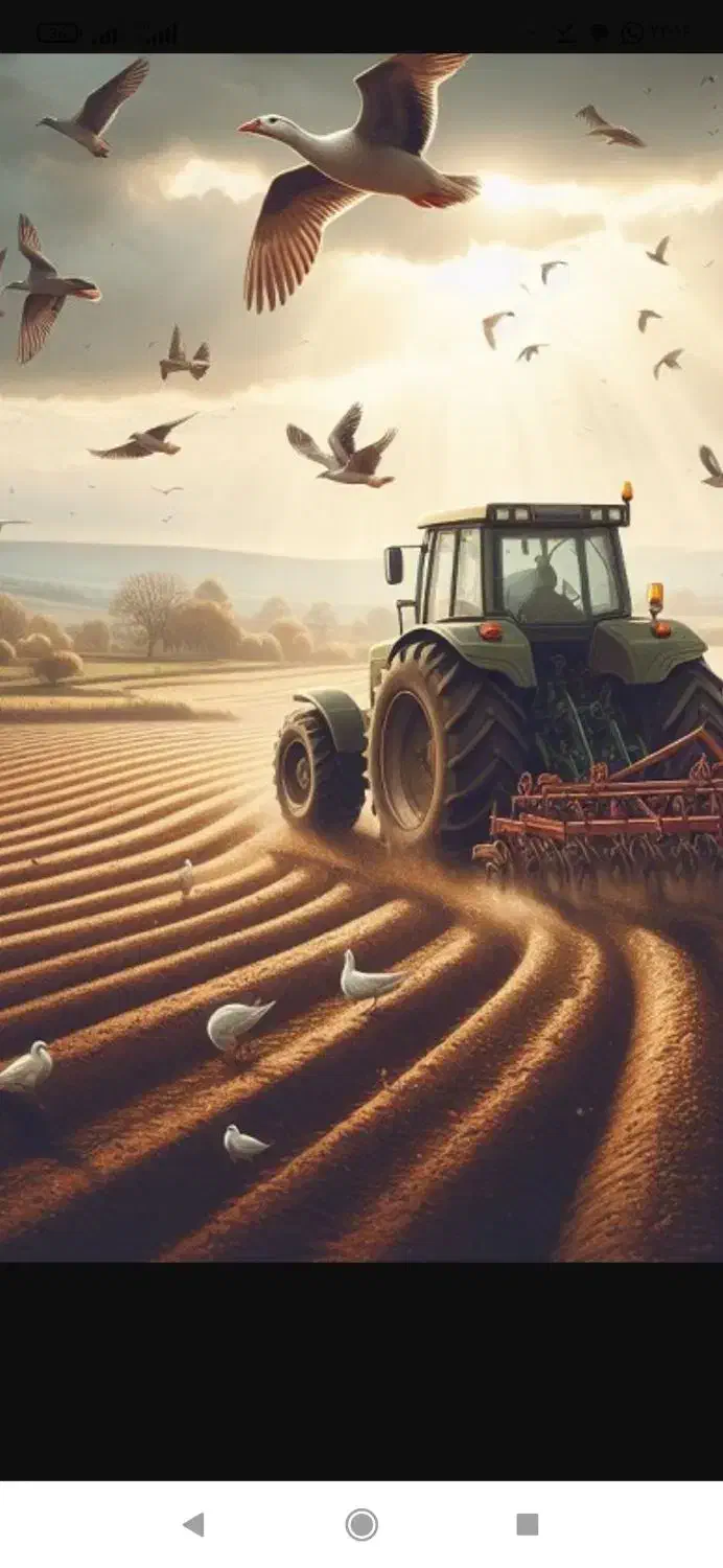 زمین دوبر جهت گلخانه یا باغ|فروش دفتر صنعتی، کشاورزی، تجاری|شهرکرد, |دیوار