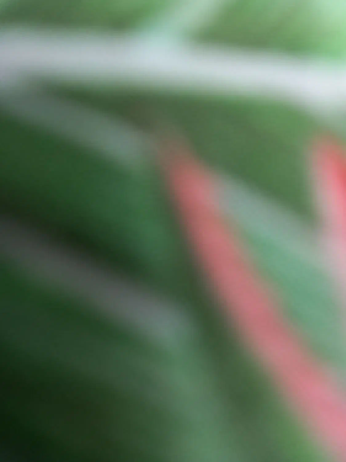 شماره رند ۰۹۱۸۸۴۵۹۶۷۷.۰۹۱۸۸۴۵۹۶۸۸|سیم‌کارت|ایلام, |دیوار