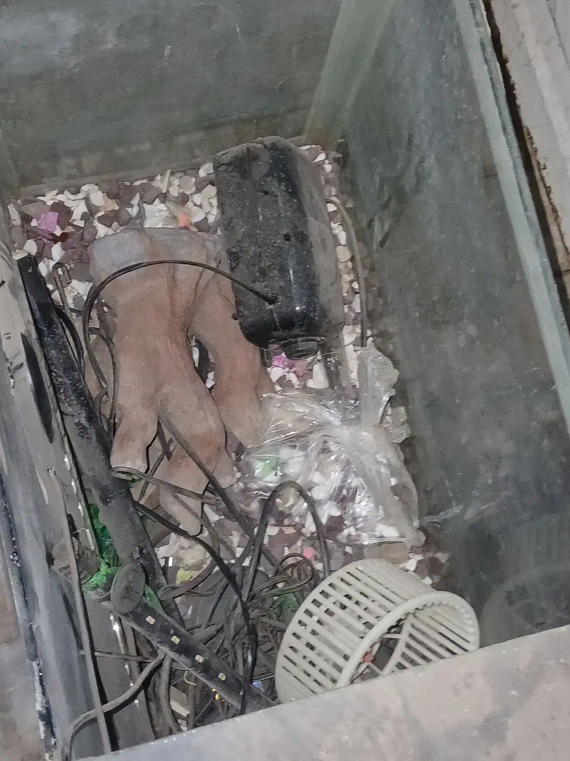 آکواریم با لوازم کامل|ماهی|قم, نیروگاه|دیوار