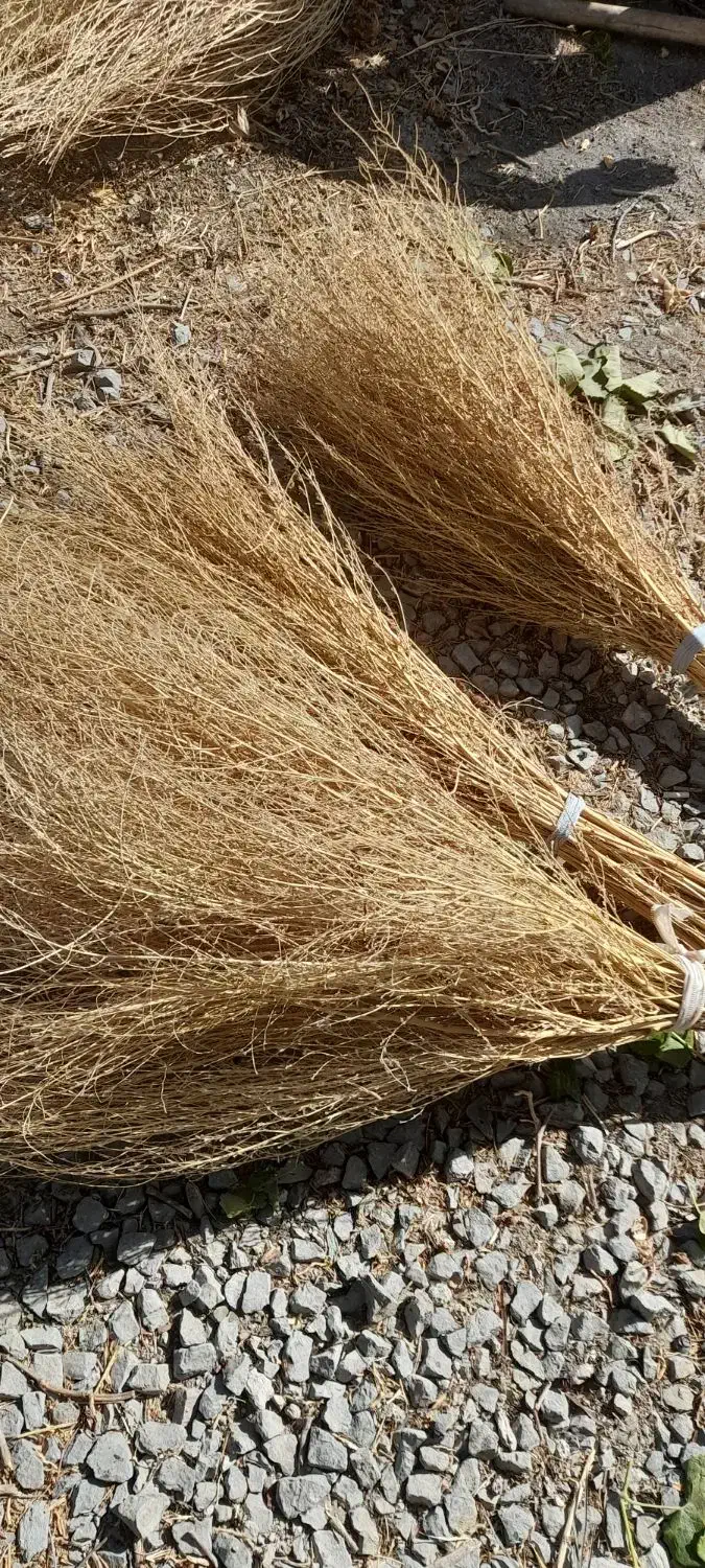 جارودستی|لوازم نظافت|ارومیه, |دیوار