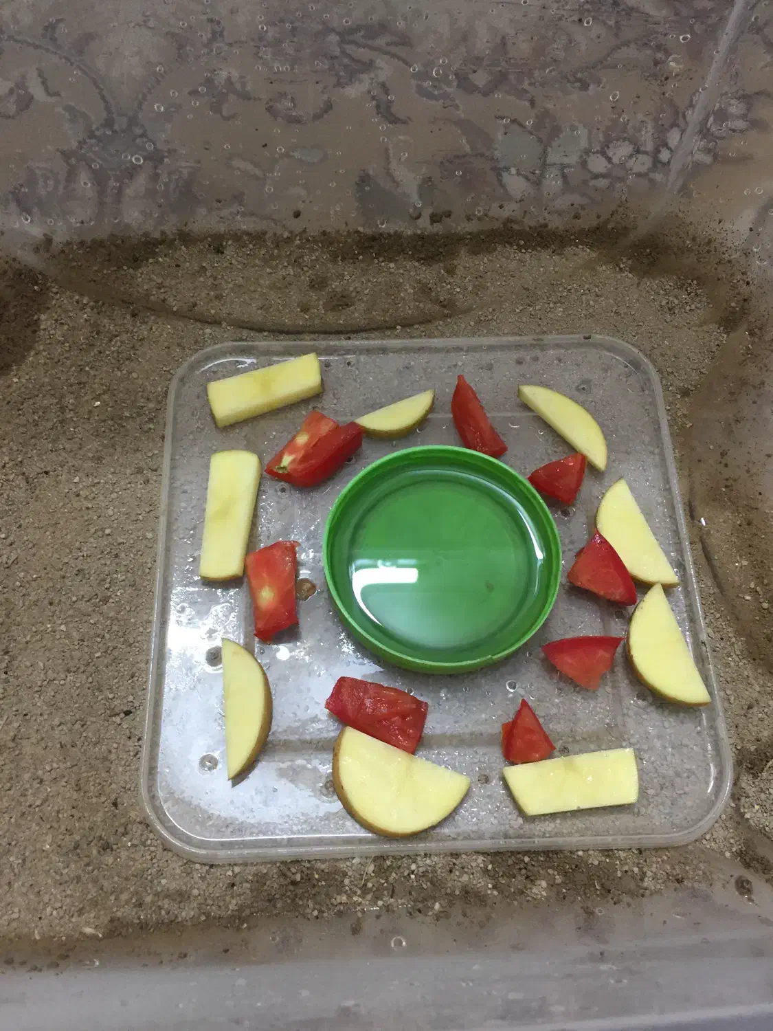 حلزون طبی آچاتینا آلبینو تراپی|خزنده|تهران, راه آهن|دیوار