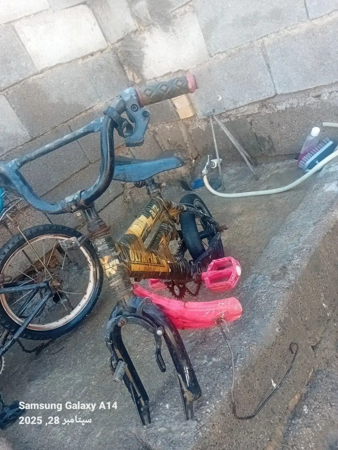 دوچرخه|دوچرخه، اسکیت، اسکوتر|شوشتر, |دیوار