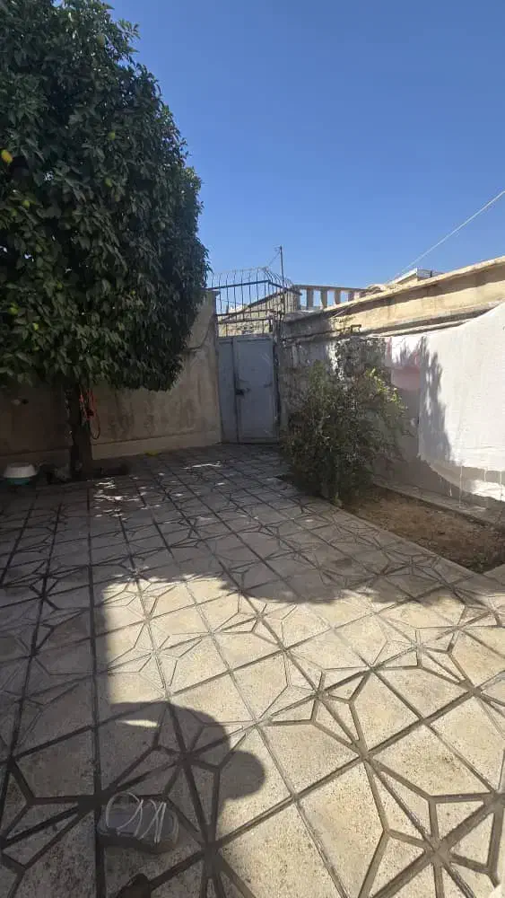 ویلایی دربست یک طبقه درب از حیاط|اجارهٔ خانه و ویلا|شیراز, شیشه‌گری|دیوار