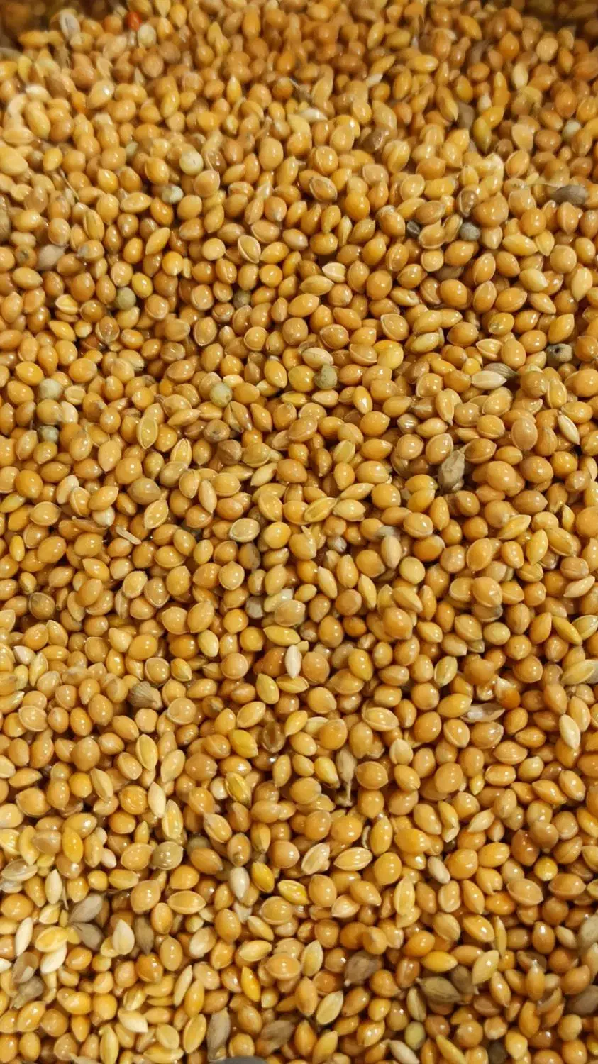 ارزن|لوازم جانبی حیوانات|لنجان, |دیوار