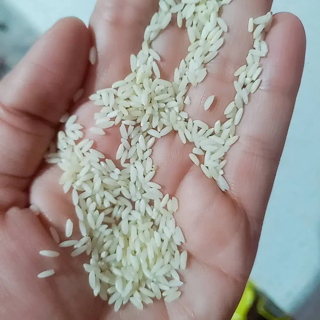 برنج ساده تمیز یه دست خوش پخت بدون بو|خوردنی و آشامیدنی|شاهین‌شهر, شهرک میلاد|دیوار