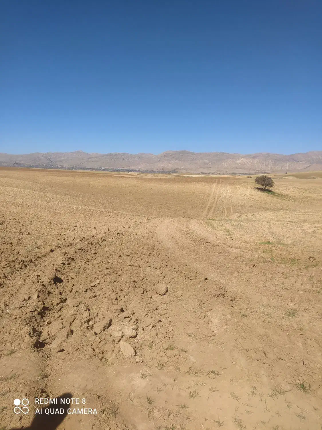 زمین هکتاری سپیدان جهت کشاورزی یا درخواست گلخانه|فروش زمین و ملک کلنگی|سپیدان, |دیوار