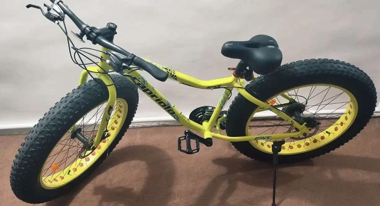 دوچرخه|دوچرخه، اسکیت، اسکوتر|سلماس, |دیوار