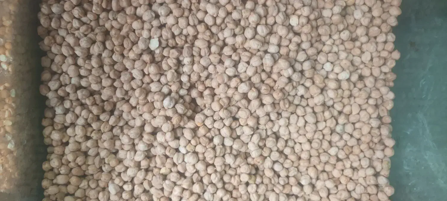 سرکه سیب خرما انگور آبغوره کشمش حبوبات کشاورزی|خوردنی و آشامیدنی|تهران, فلاح|دیوار