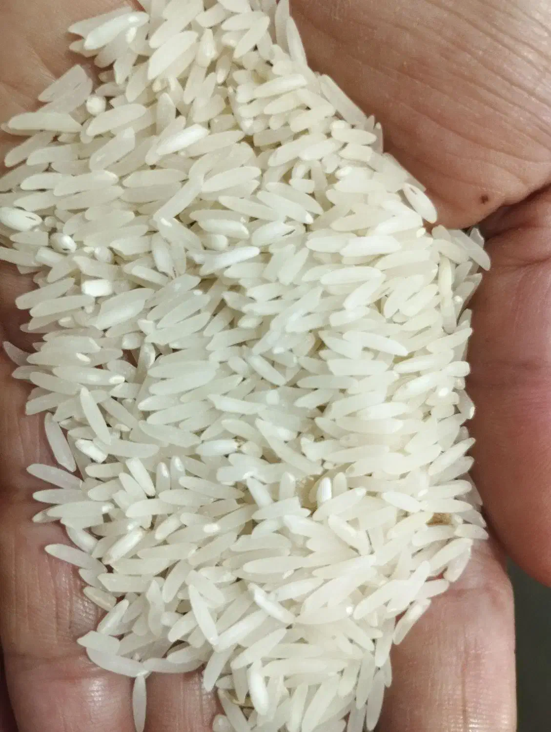 برج فجر سوزنی 120روزع اعلا شمال|خوردنی و آشامیدنی|بندرعباس, |دیوار
