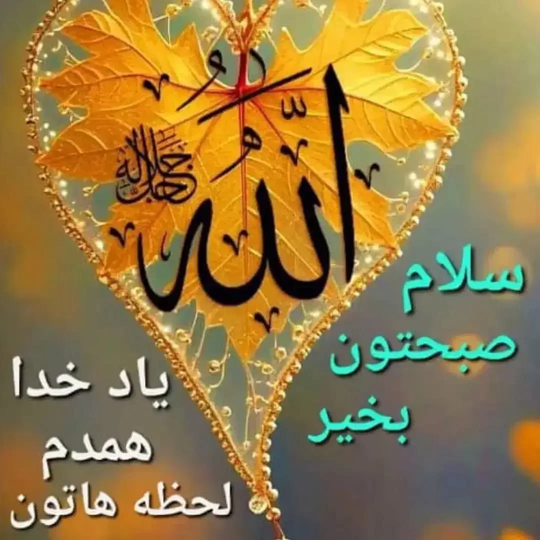 کیف مدارک گم شده|اشیا|شیراز, شاهچراغ|دیوار