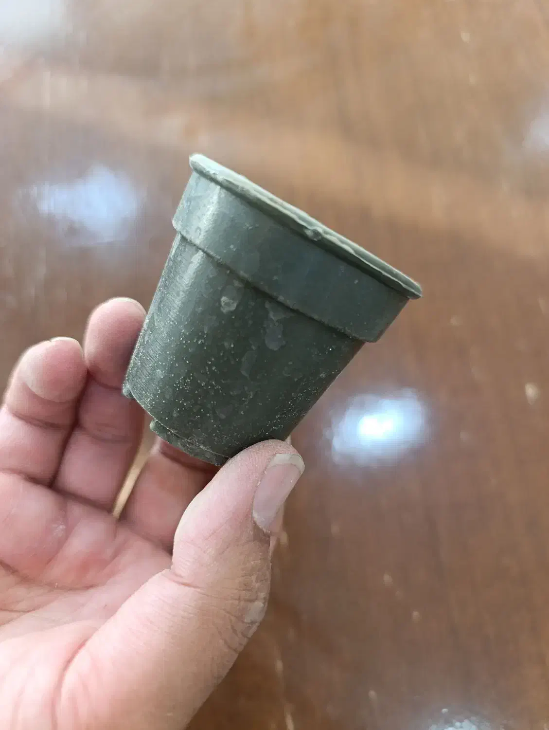 گلدان گلخانه ای مشکی|گل و گیاه طبیعی|قم, هفت تیر|دیوار