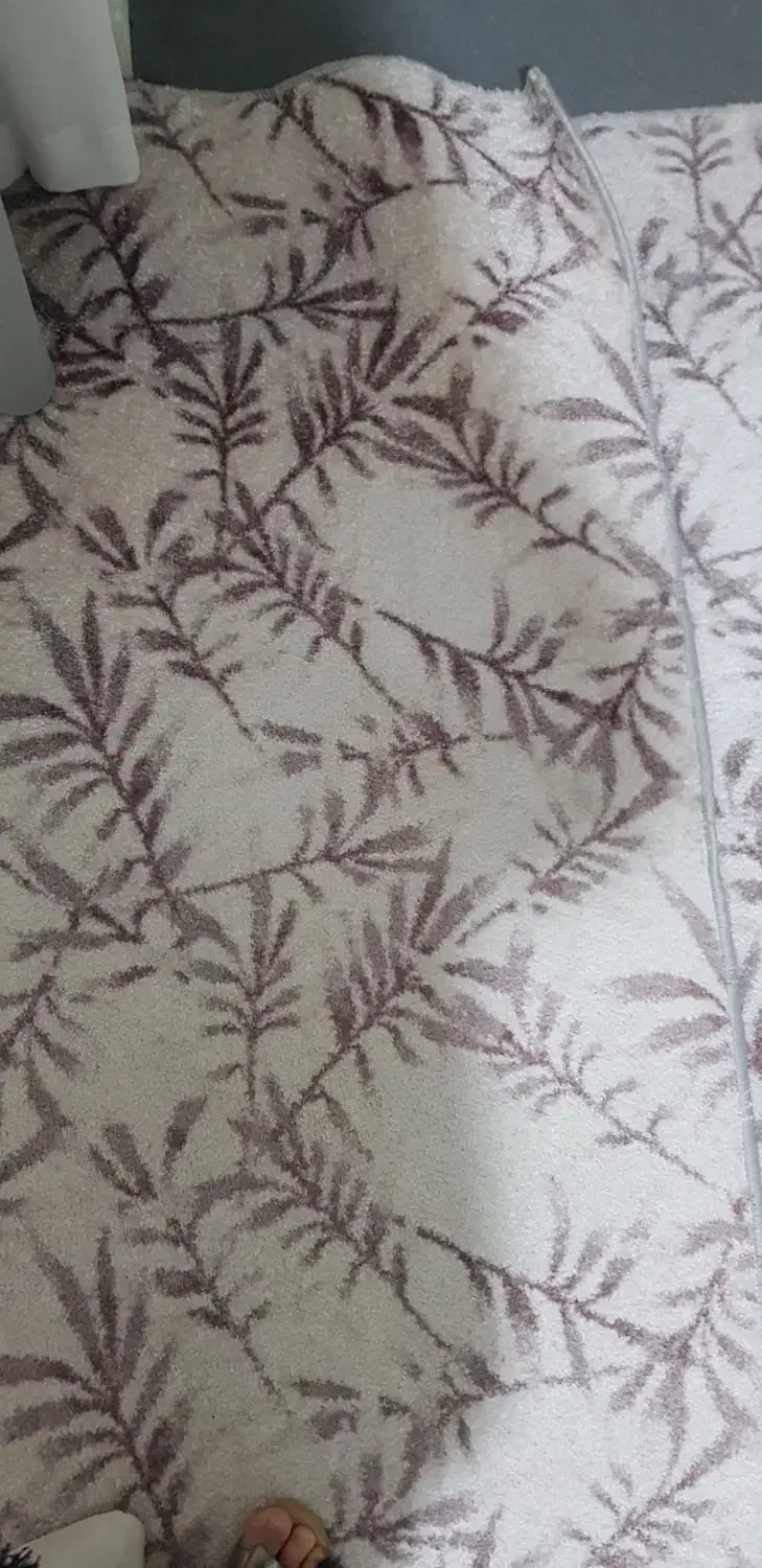 موکت۴×۳|موکت|همدان, |دیوار