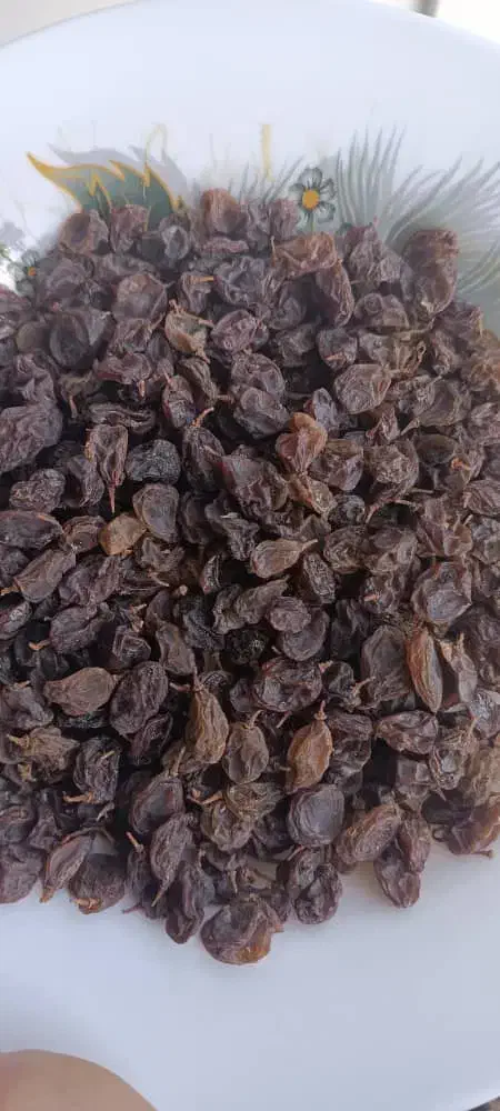 کشمش بدون هسته عسکری درجه یک|خوردنی و آشامیدنی|شیراز, غدیر شمالی|دیوار