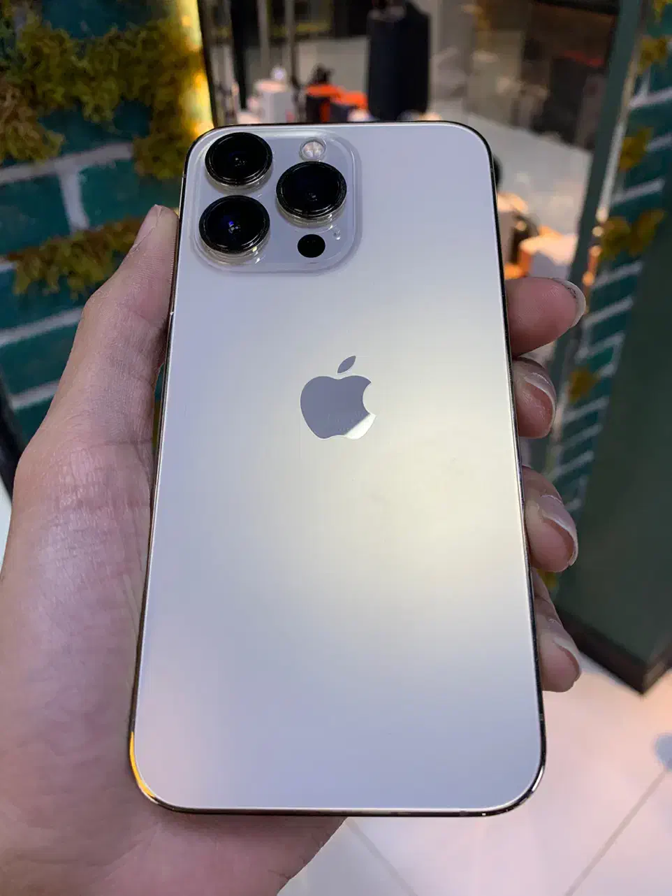آیفون ۱۳ پرو Iphone13 pro|موبایل|نیشابور, فردوس شمالی|دیوار