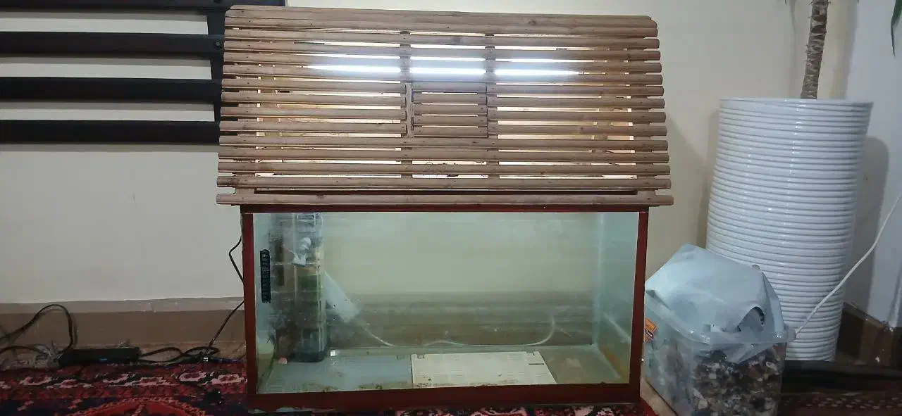 آکواریم درجه یک|ماهی|بوشهر, |دیوار