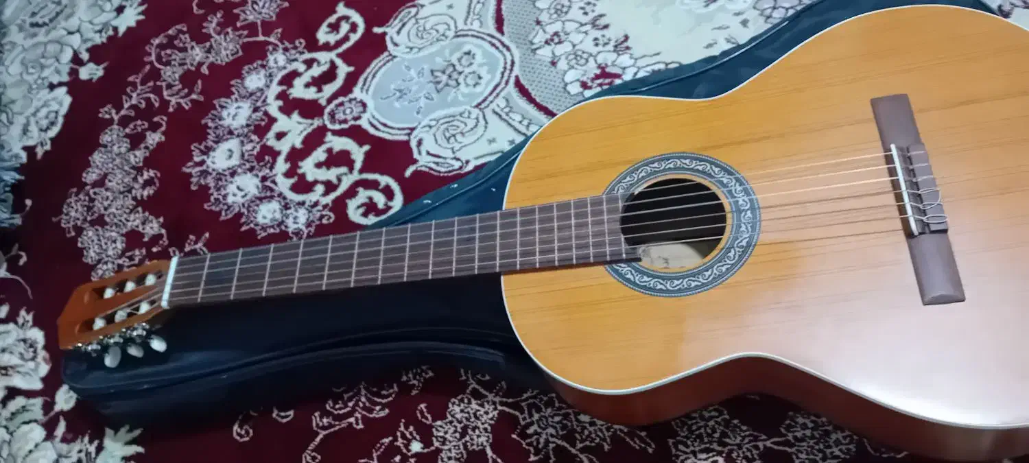 گیتار خش صدا|گیتار، بیس، امپلیفایر|تهران, شهرک رضویه|دیوار