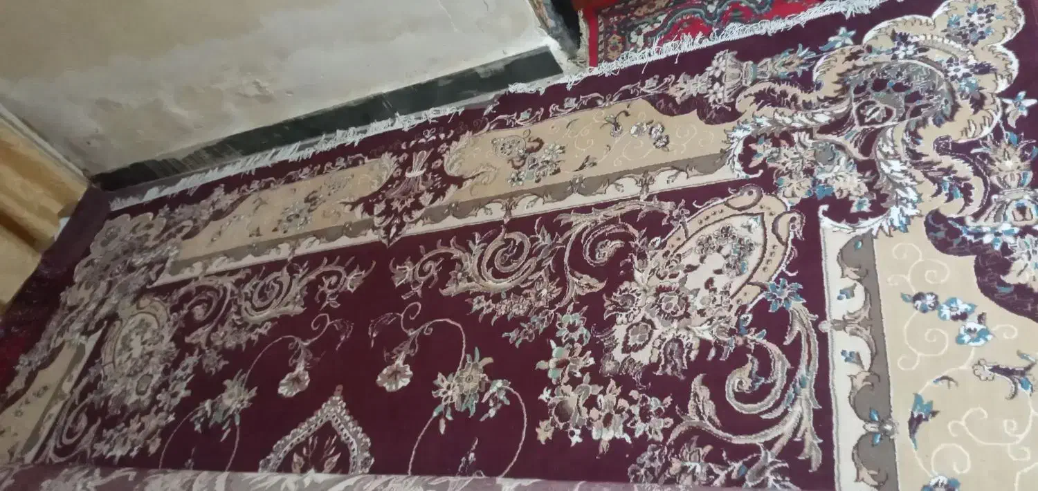 قالی|فرش|ایذه, |دیوار