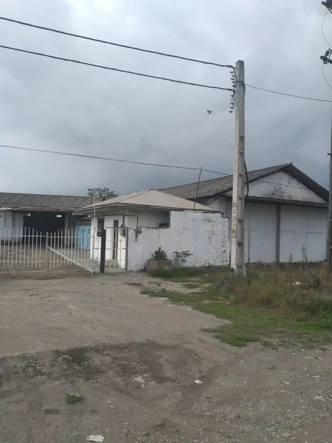 اجاره سوله ۱۰۰۰متری|اجارهٔ دفتر صنعتی، کشاورزی، تجاری|بندر انزلی, چهارفریضه|دیوار