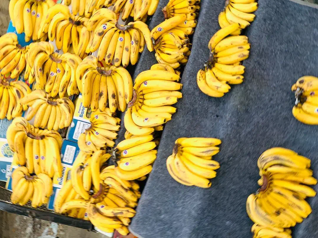 موز شیرین|خوردنی و آشامیدنی|کرج, خرمدشت|دیوار