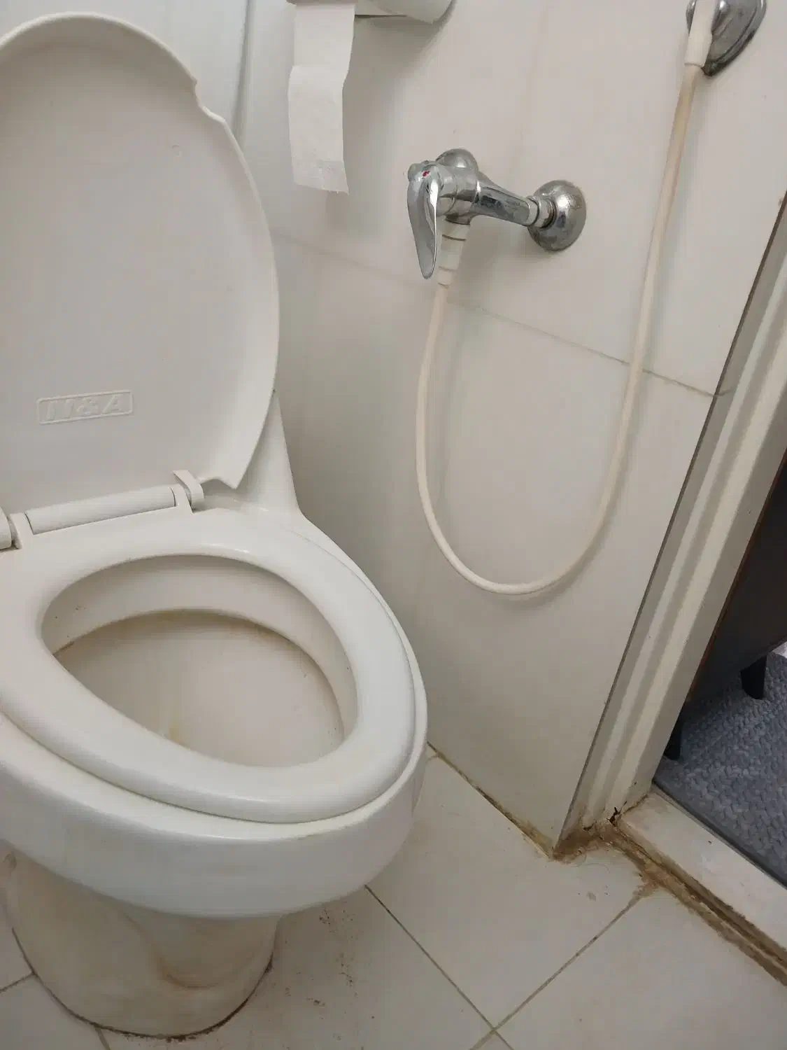 توالت فرنگی (دستشویی فرنگی) ایساتیس|لوازم سرویس بهداشتی|شیراز, وصال|دیوار