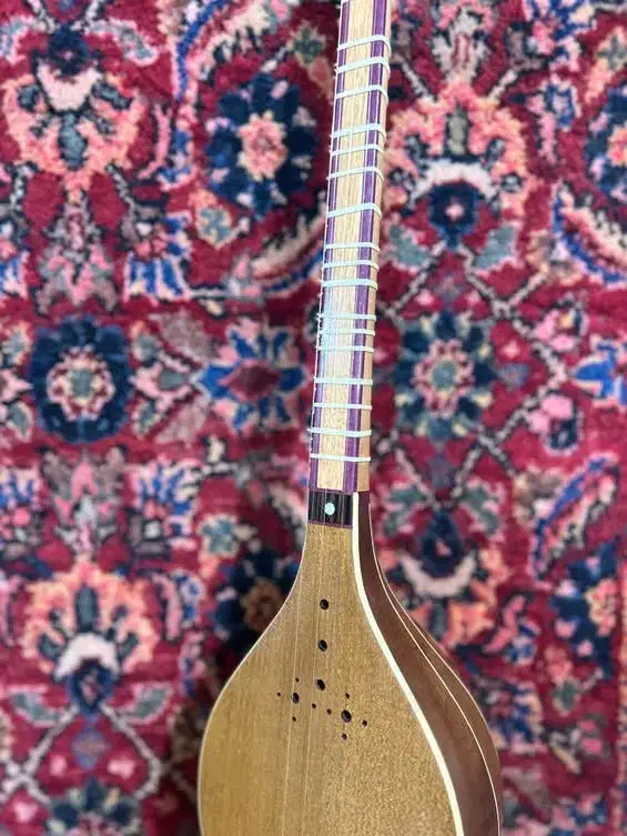 ساز نظری|سازهای سنتی|قرچک, مهدیه|دیوار