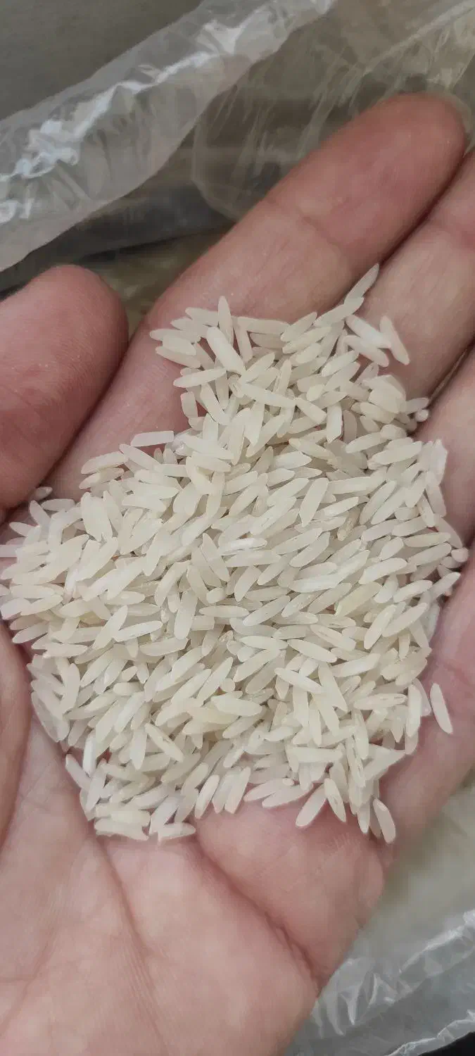 برنج گلستان|خوردنی و آشامیدنی|اهواز, زیتون کارمندی|دیوار