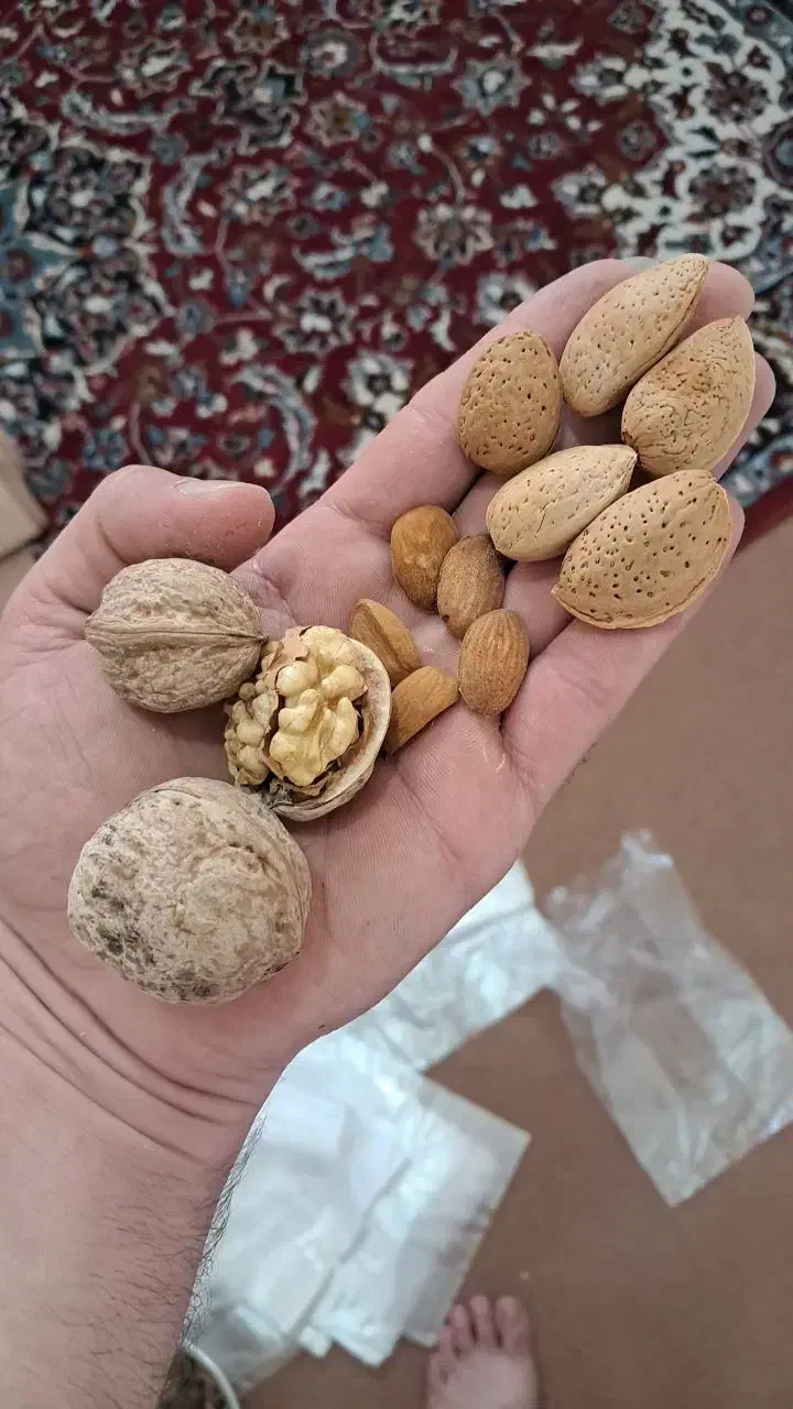 گردو و بادام تحویل درب منزل|خوردنی و آشامیدنی|شاهین‌شهر, شهرک گلدیس|دیوار