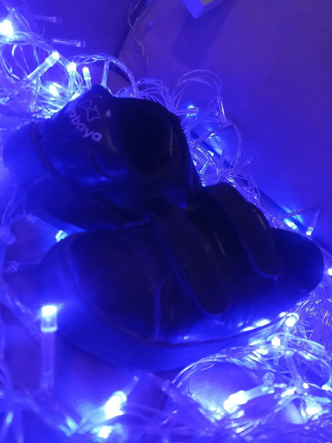 کفش|کیف، کفش، کمربند|بندر کنگان, |دیوار