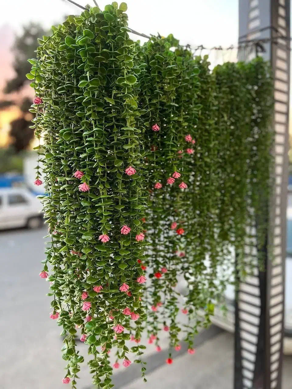 شمشاد ۱۶ شاخه|گل مصنوعی|اهواز, آریاشهر|دیوار