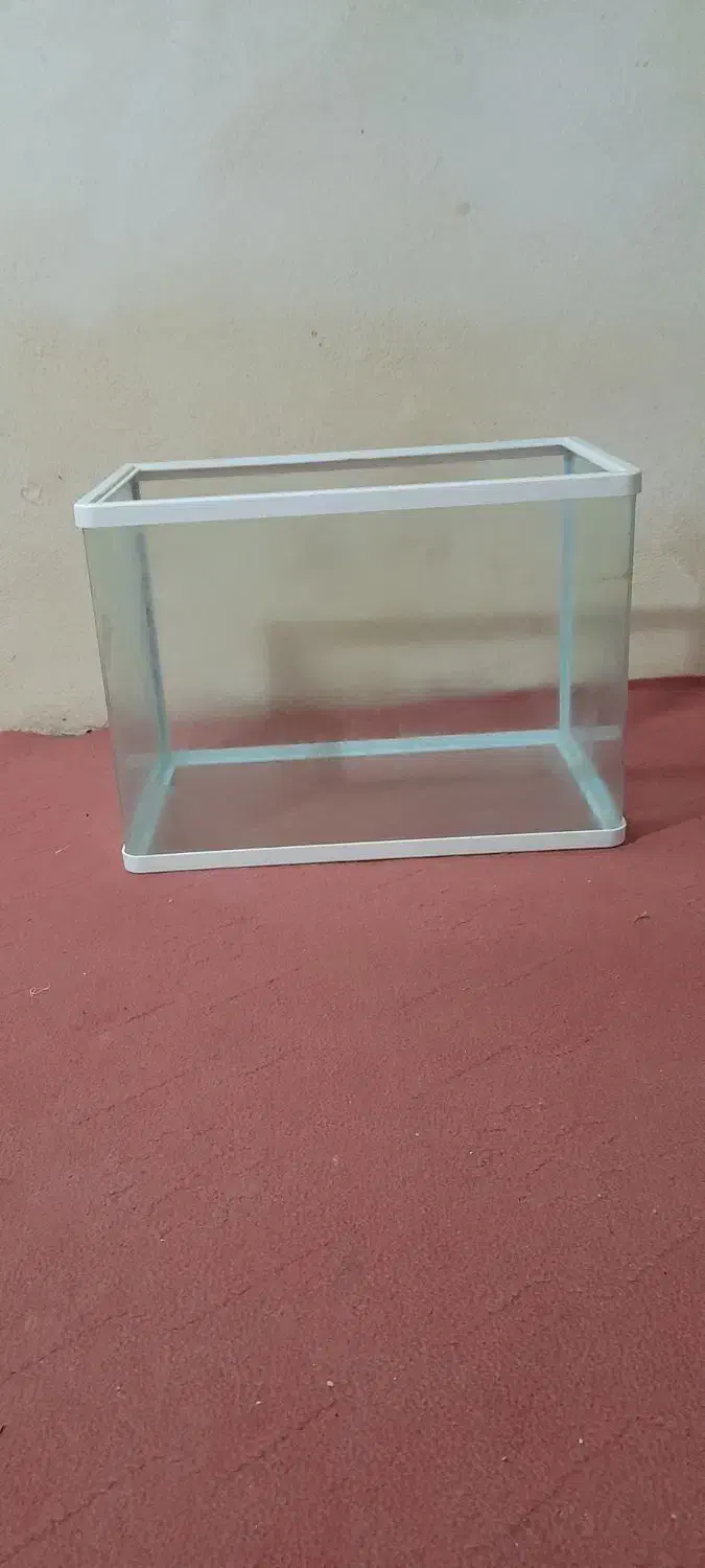 آکواریوم شرکتی|ماهی|اردبیل, |دیوار