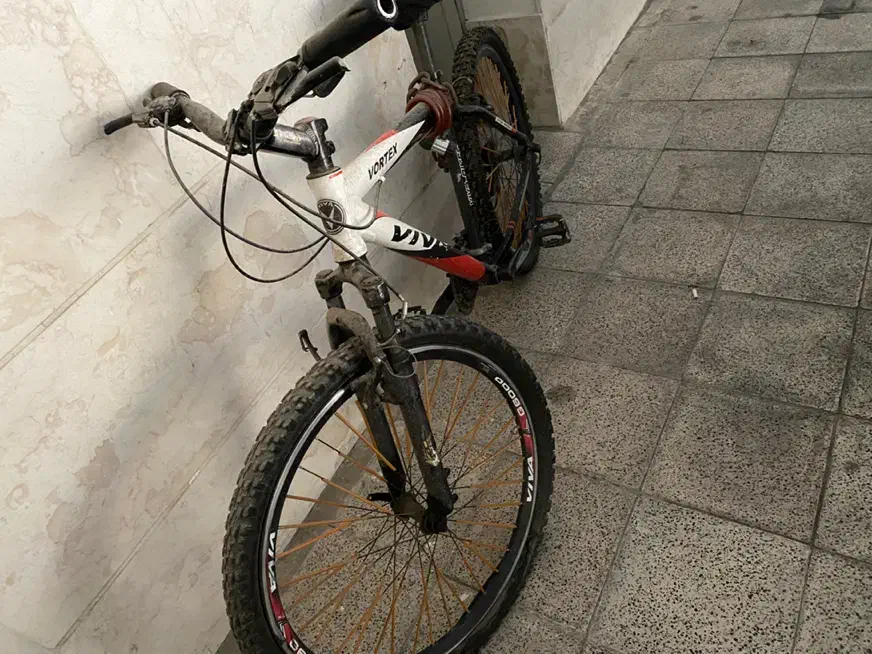 دوچرخه ویوا viva تنه تایوان سایز 26|دوچرخه، اسکیت، اسکوتر|اندیشه, اندیشه فاز ۱|دیوار