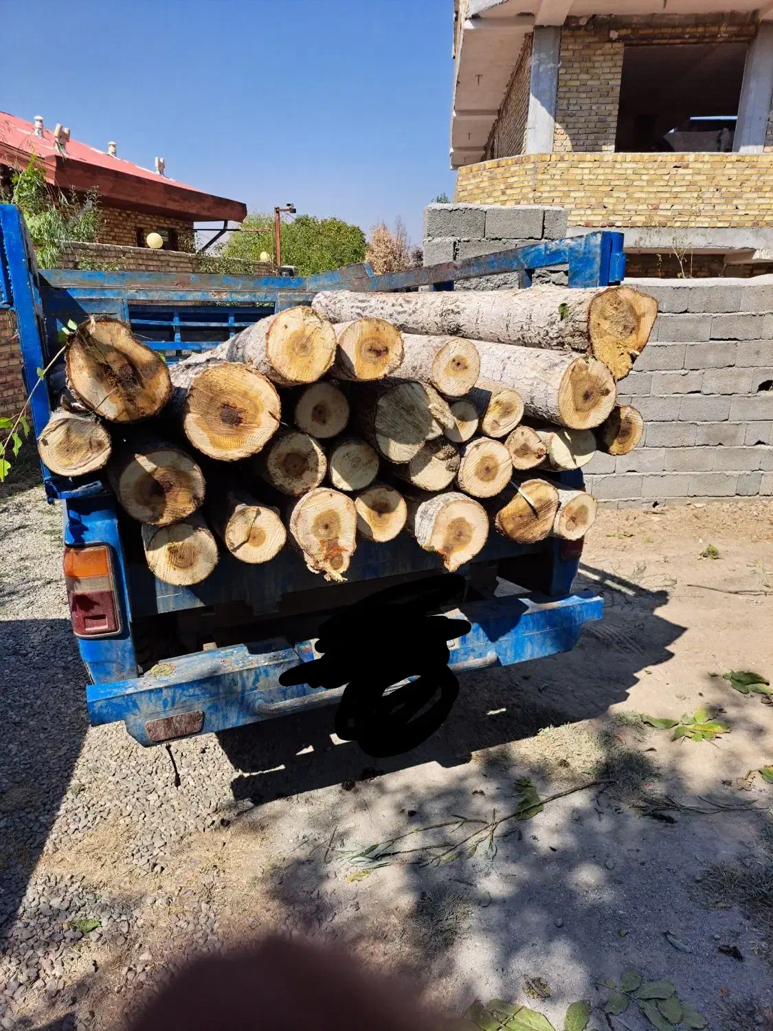 خرید چوب|خدمات باغبانی و درختکاری|ارومیه, |دیوار