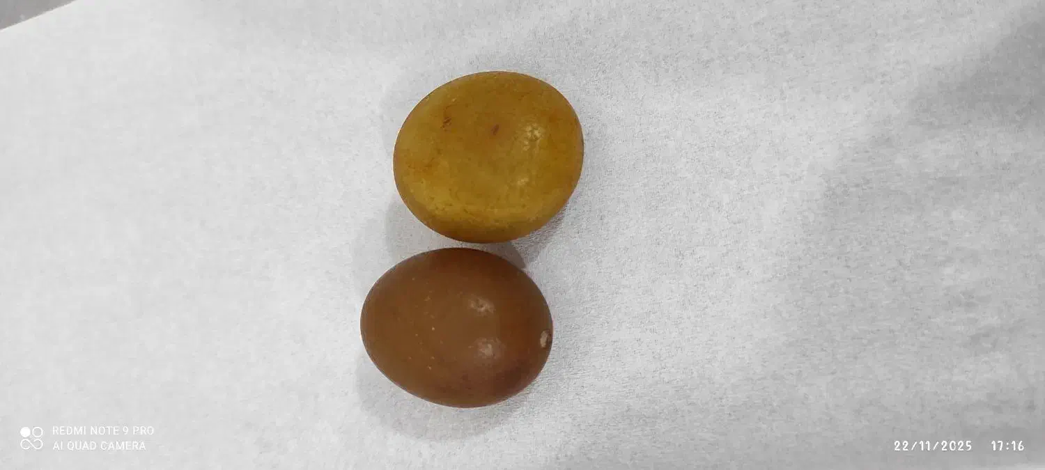 مهره سنگ چرب شیرین|کلکسیون اشیاء عتیقه|کارون, |دیوار