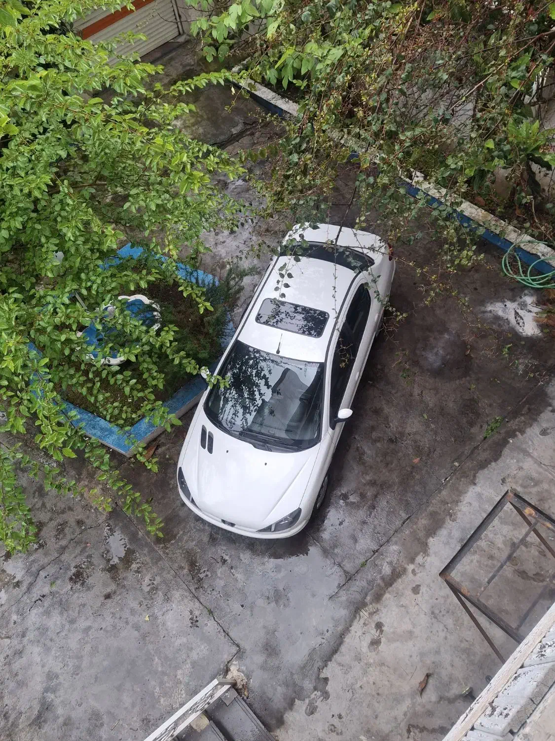 206sd tuf v8|خودرو سواری و وانت|بندر انزلی, ساحل قو|دیوار