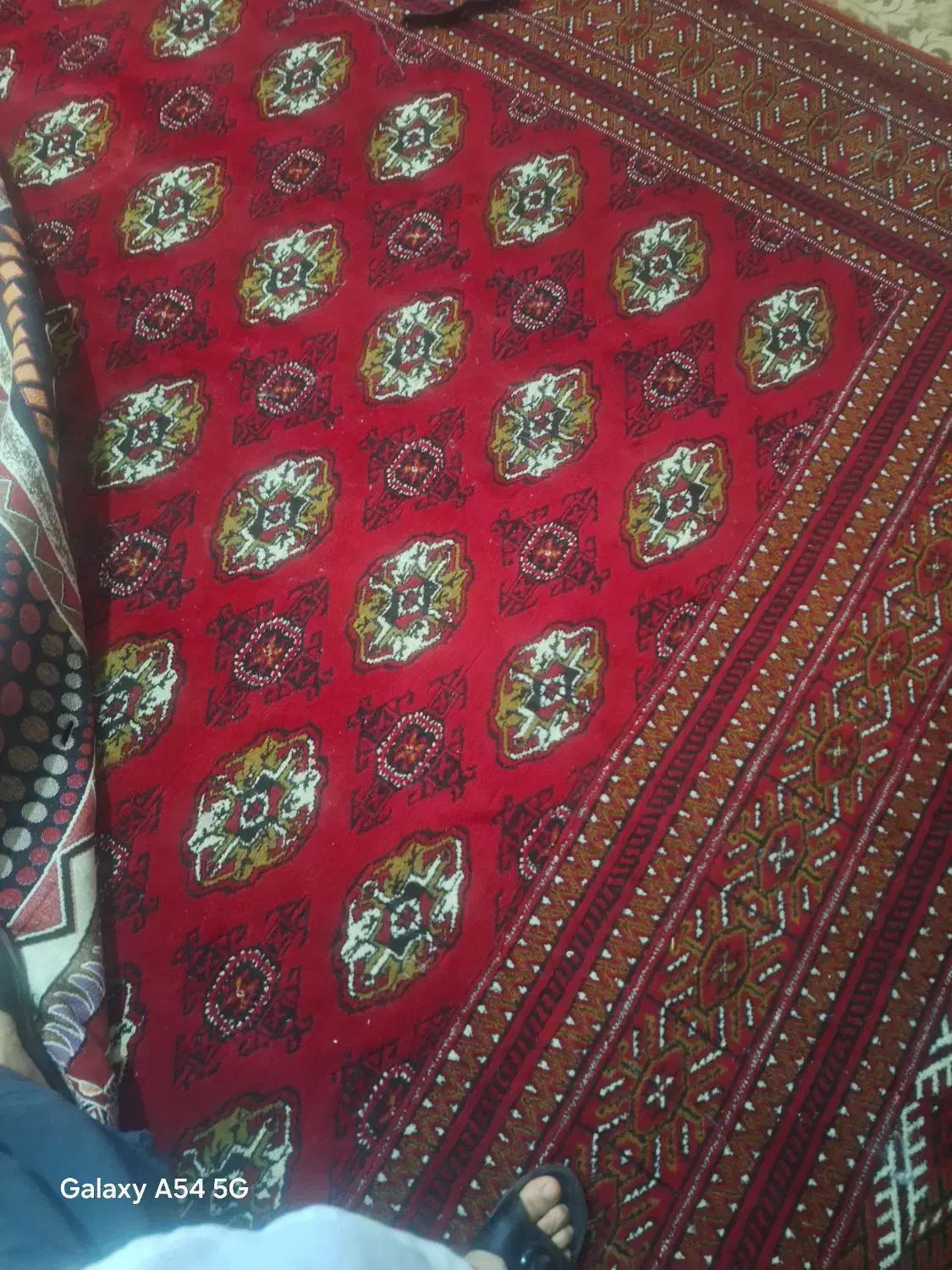 فرش|فرش|آزادشهر, |دیوار