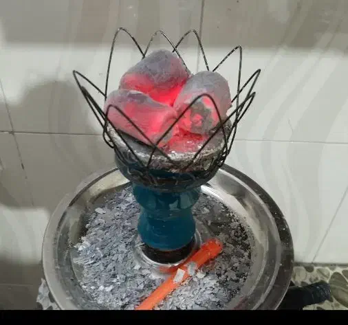 ذغال انجیر|عمده‌فروشی|قم, چهل درخت‎|دیوار