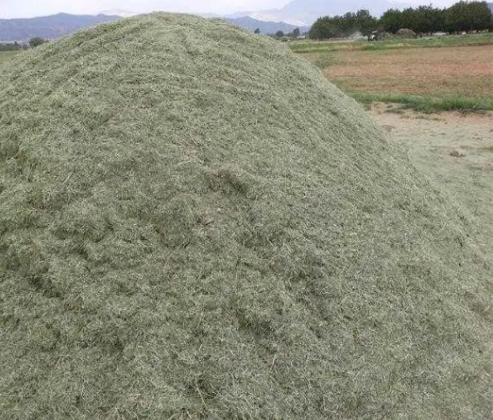 یونجه درجه یک تمیز|خدمات باغبانی و درختکاری|لردگان, |دیوار