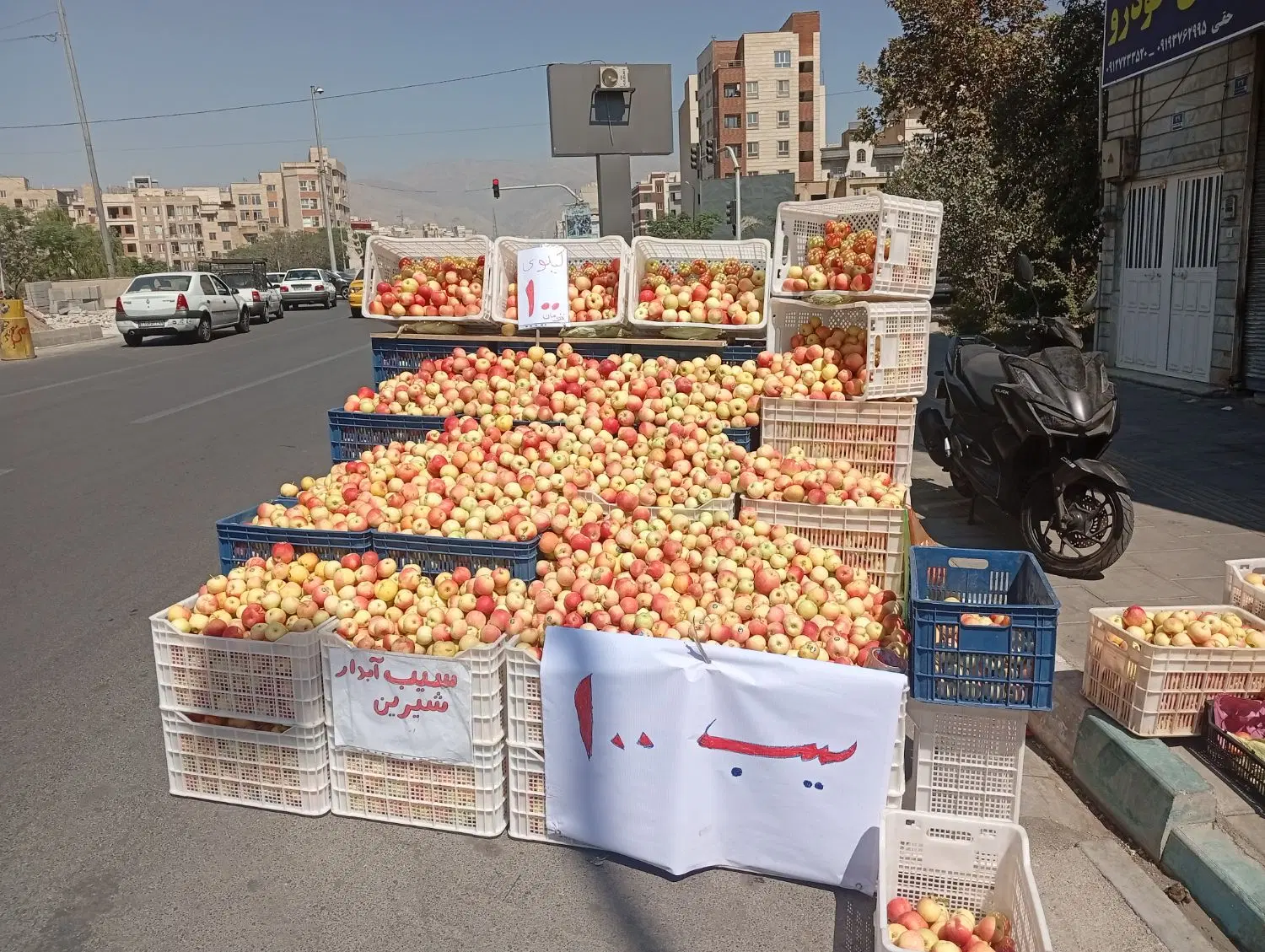 سیب فرانسوی شیرین آب دار کیلو 100|خوردنی و آشامیدنی|تهران, شهرک شریعتی|دیوار