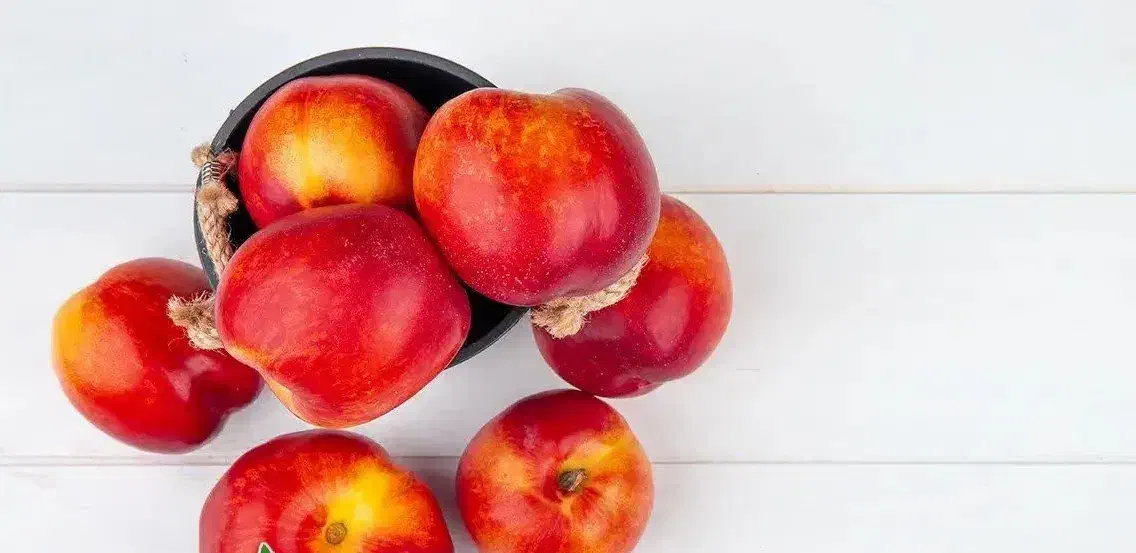 تولید و فروش نهال شلیل بیگ تاب|خدمات باغبانی و درختکاری|میانه, |دیوار