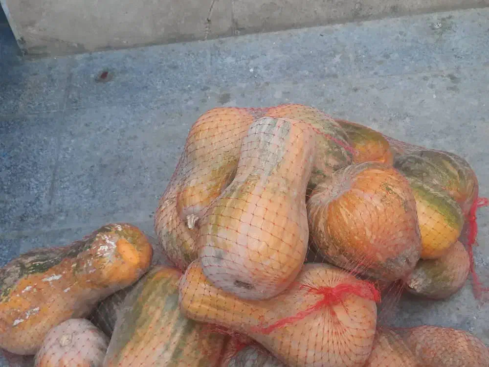 کدو حلوای. بشرط شیرین |خوردنی و آشامیدنی|محمدشهر, محمدشهر|دیوار