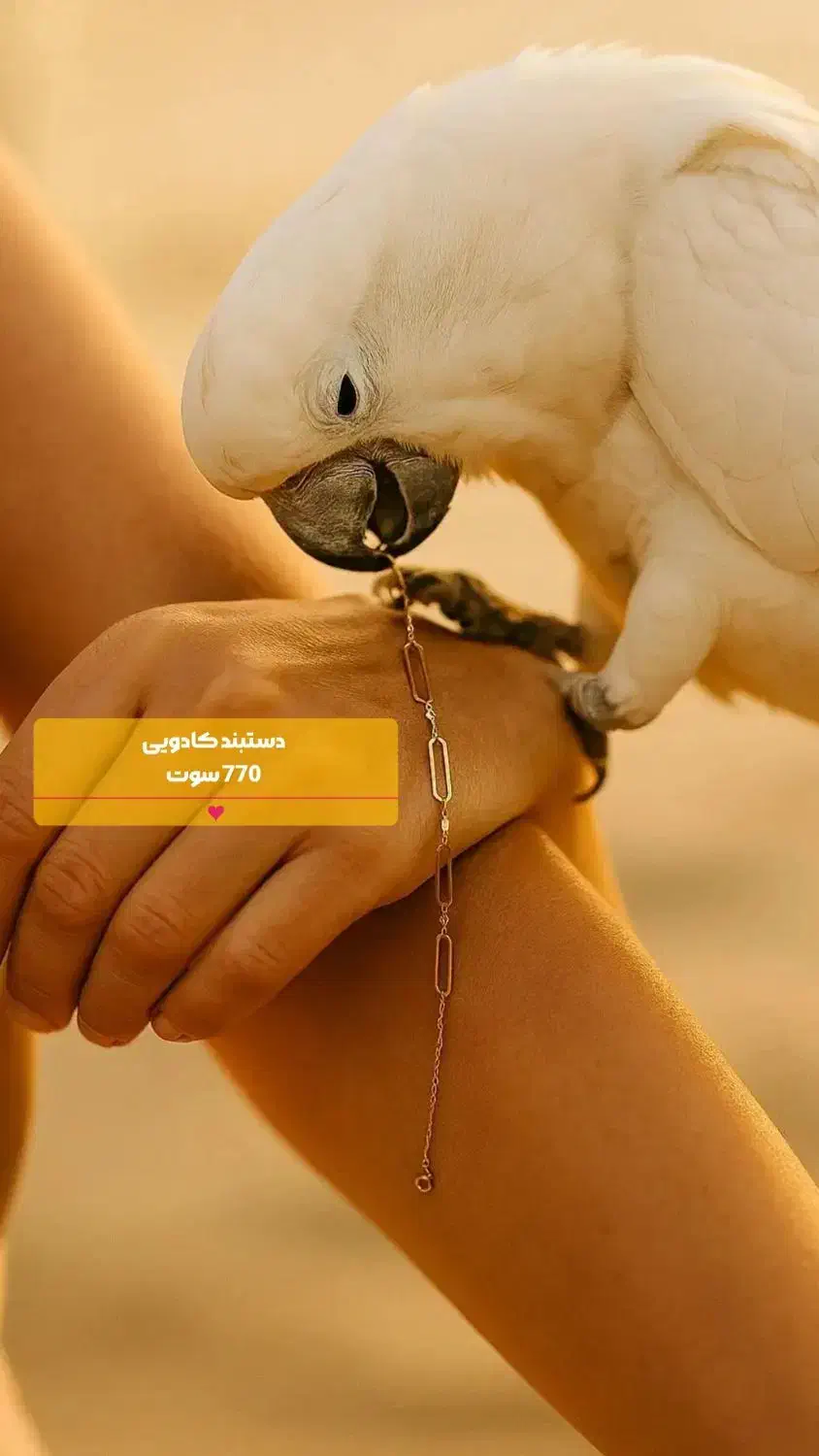 دستبندهای خوش وزن و کم اجرت طــلای علی|جواهرات|شوش, |دیوار